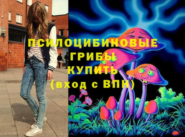 каннабис Коряжма
