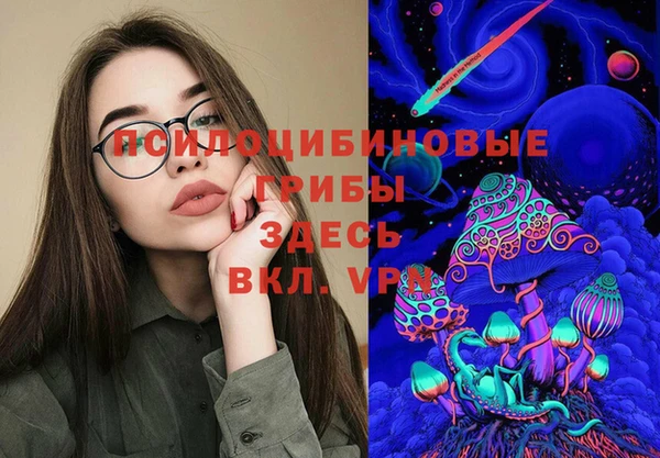 apvp Корсаков