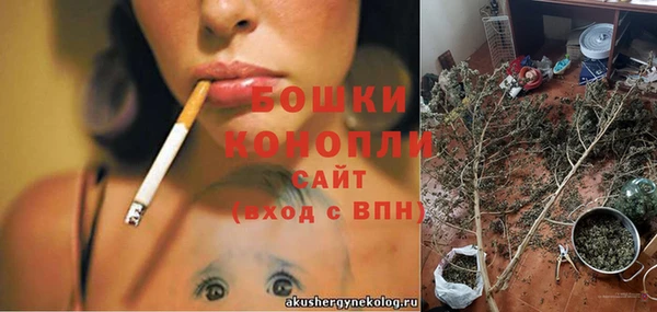 apvp Корсаков