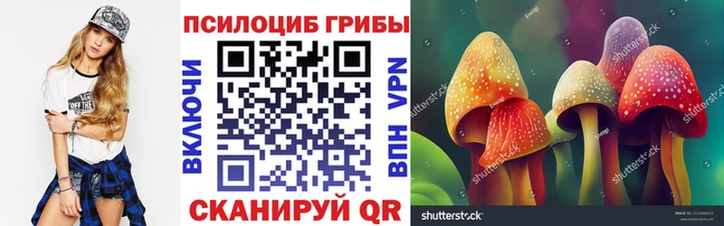 Купить  Добрянка  Псилоцибиновые грибы прущие грибы 